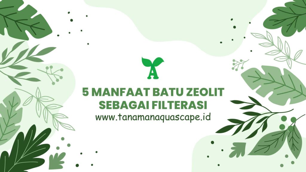 5 Manfaat Batu Zeolit Sebagai Filterisasi