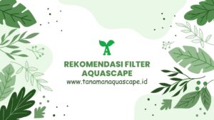 rekomendasi filter aquacape