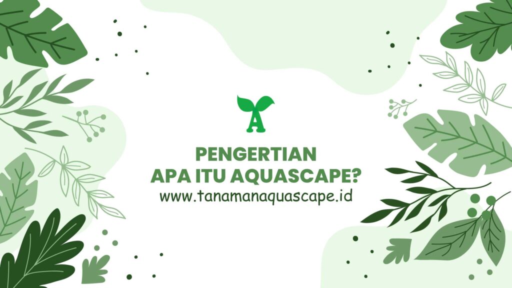 Apa itu aquascape