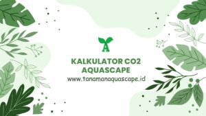 kalkulator co2 aquascape