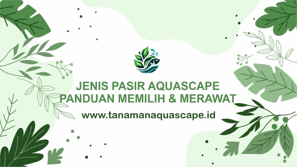 Jenis Pasir Aquascape - Panduan Memilih & Merawat Pasir Terbaik