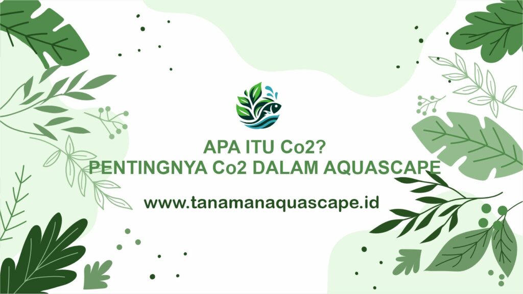 apa itu co2